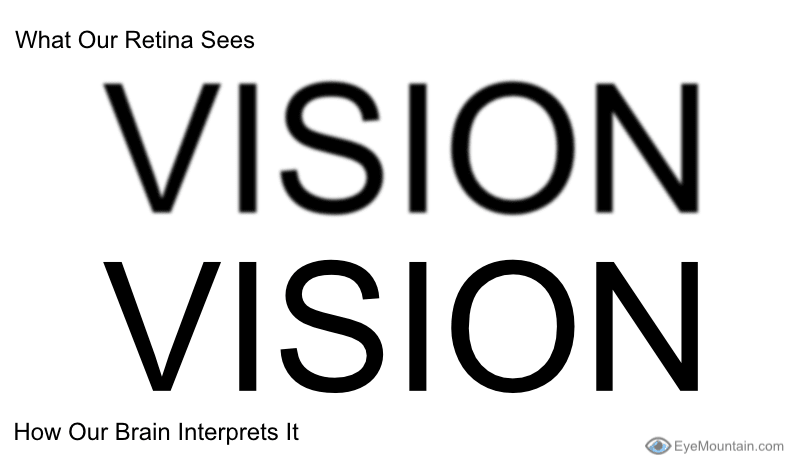 What the retina sees due to subtle distortions in your cornea and lens and what you interpret the image as after the brain processes the image